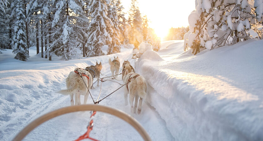 İzmir Çıkışlı Sömestre Özel Lapland Kuzey Işıkları (Tüm Turlar Dahil- 4 Gece Park Otel)