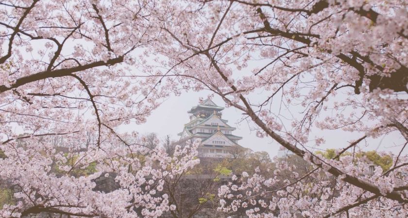 Antalya Çıkışlı Sakura Zamanında Japonya & Kore Turu Tüm Turlar Dahil