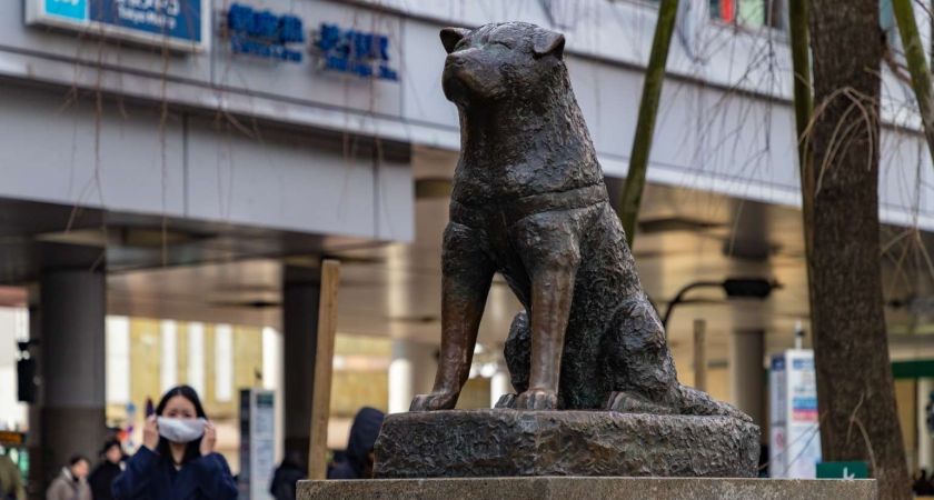 Antalya Çıkışlı Sömestr Özel Japonya & Kore Turu Tüm Turlar Dahil