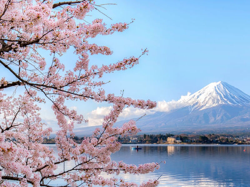 Sakura Döneminin Büyülü Rotası Japonya & Kore Turu Antalya Çıkışlı (Kampanya)