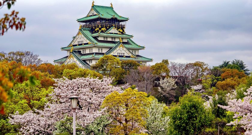 İstanbul Çıkışlı Sakura Zamanında Büyük Japonya & Kore (Kampanya)