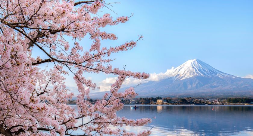 İstanbul Çıkışlı Sakura Zamanında Büyük Japonya & Kore Tüm Turlar Dahil