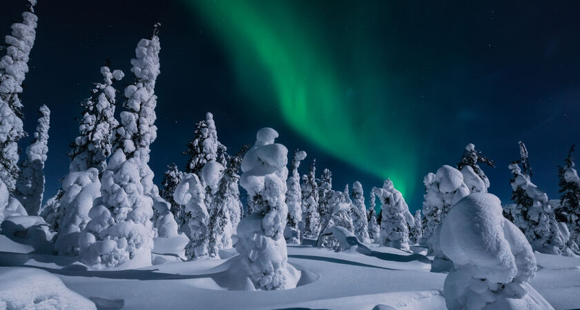 İzmir Çıkışlı Sömestre Özel Lapland Kuzey Işıkları (Kampanya - 4 Gece Park Otel)