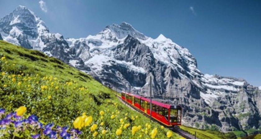 İzmir Çıkışlı Kurban Bayramına Özel Alsace Colmar ve Tren ile Alp Dağları Turu