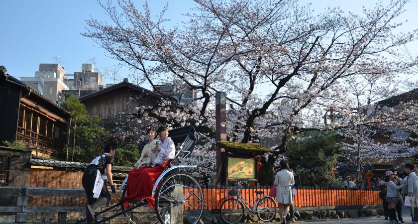 İstanbul Çıkışlı Sakura Zamanında Büyük Japonya & Kore Tüm Turlar Dahil