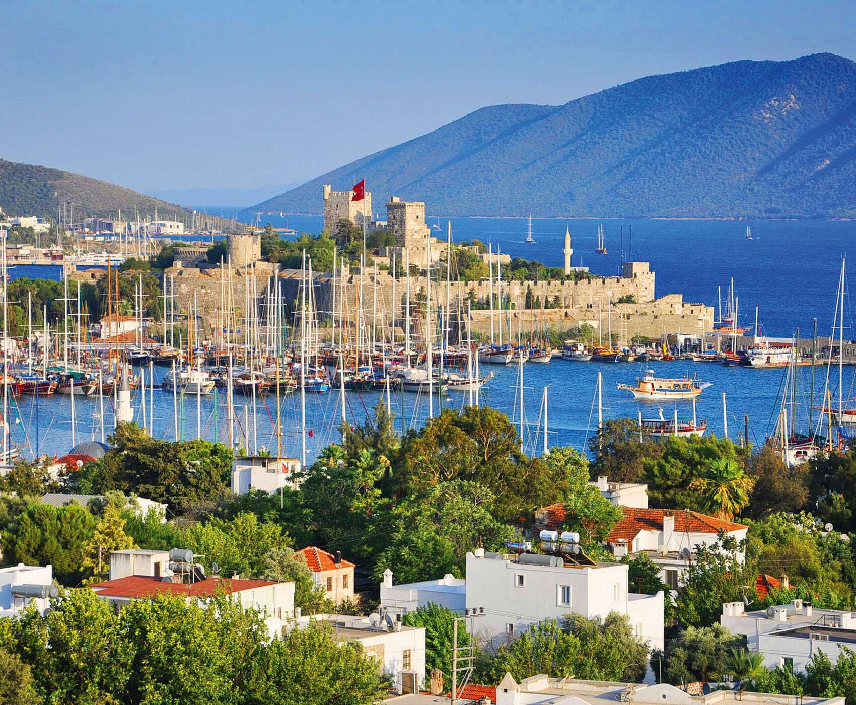 BODRUM - DİDİM - KUŞADASI - İZMİR - ALAÇATI - ÇEŞME - FOÇA - ŞİRİNCE