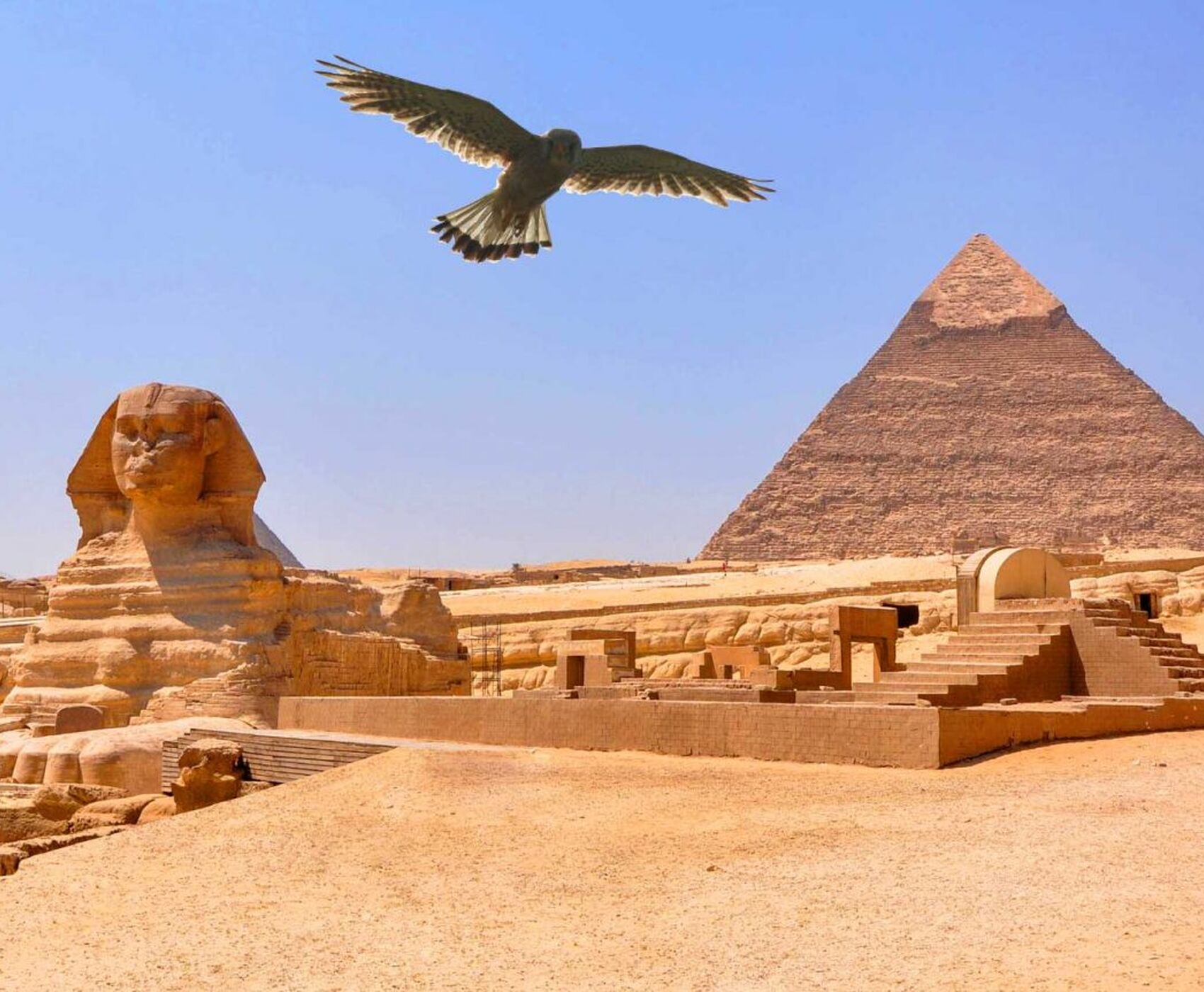 ANTALYA'DAN DİREKT UÇAKLI NİL CRUİSE GEMİSİ İLE GİZEMLİ MISIR KAHİRE & PİRAMİTLER & ASWAN & LUXOR & TAPINAKLAR & HURGADA