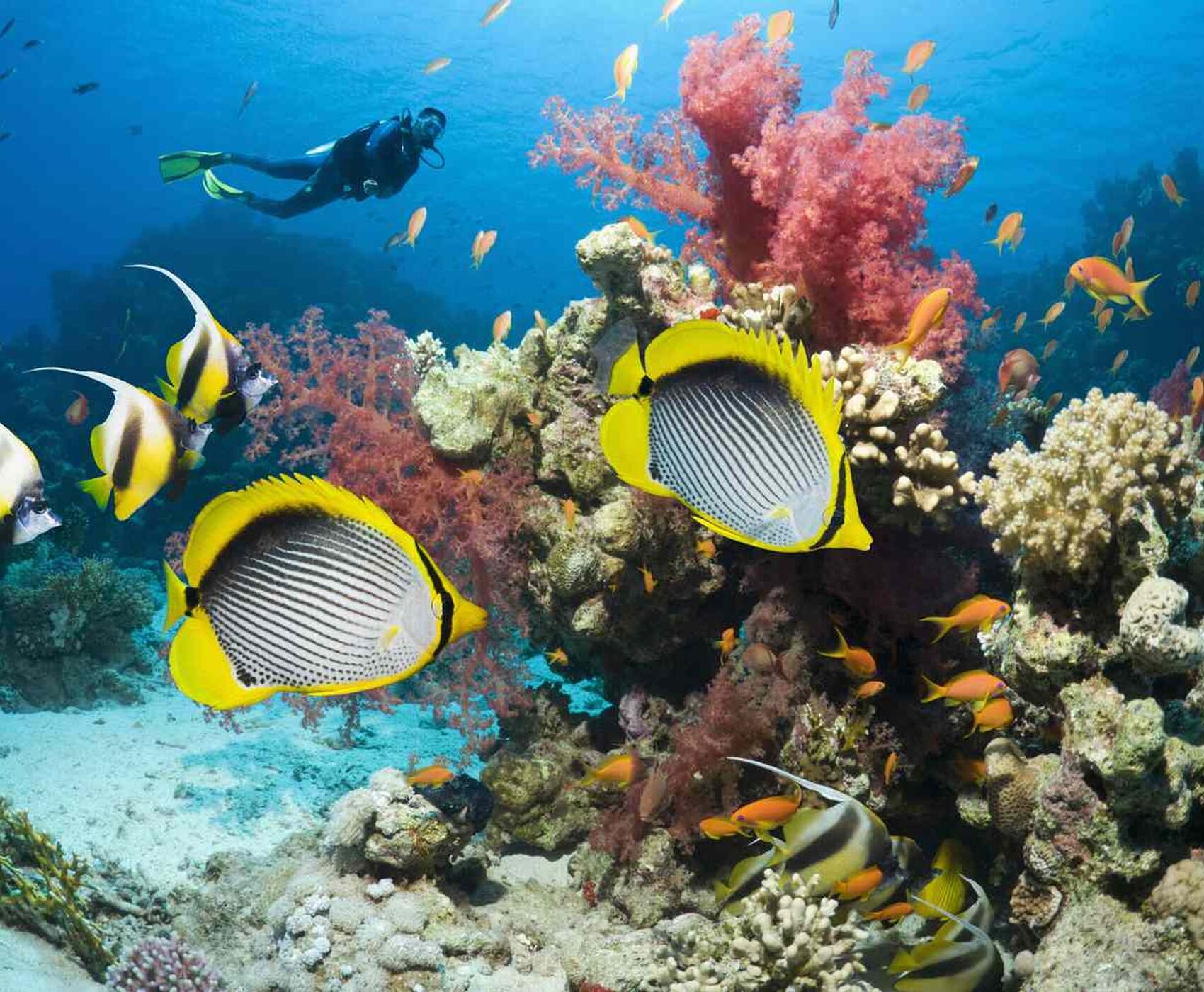 ANTALYA'DAN DİREKT UÇAKLI MISIR VE ÜRDÜN MOZAİĞİ & PİRAMİTLER & PETRA ANTİK KENTİ